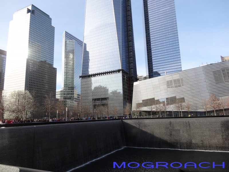 Mogroach New York Reisebericht