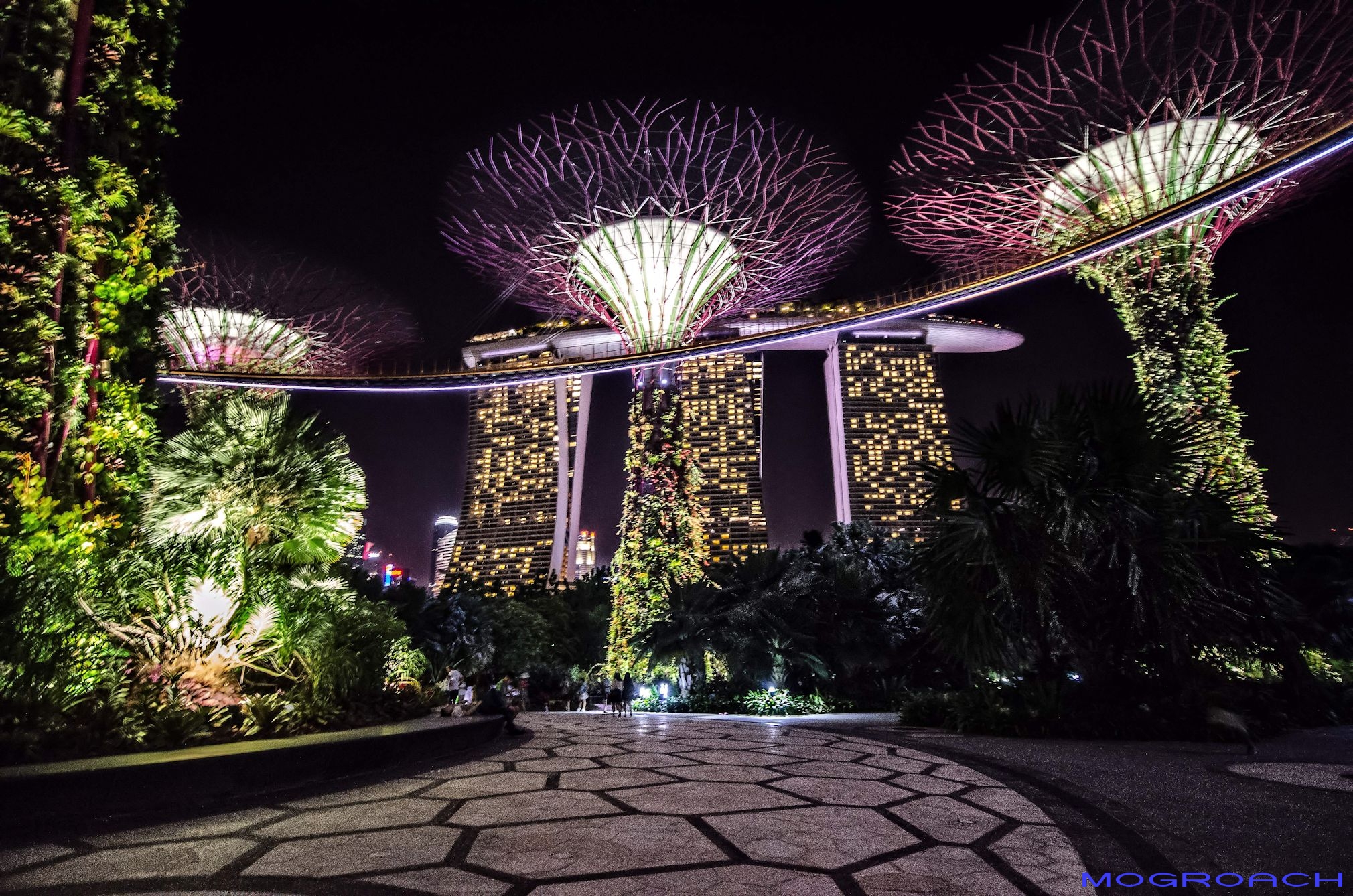 Gardens by the Bay Singapur Mogroach