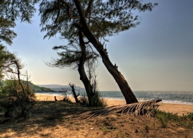 Galgibaga Beach