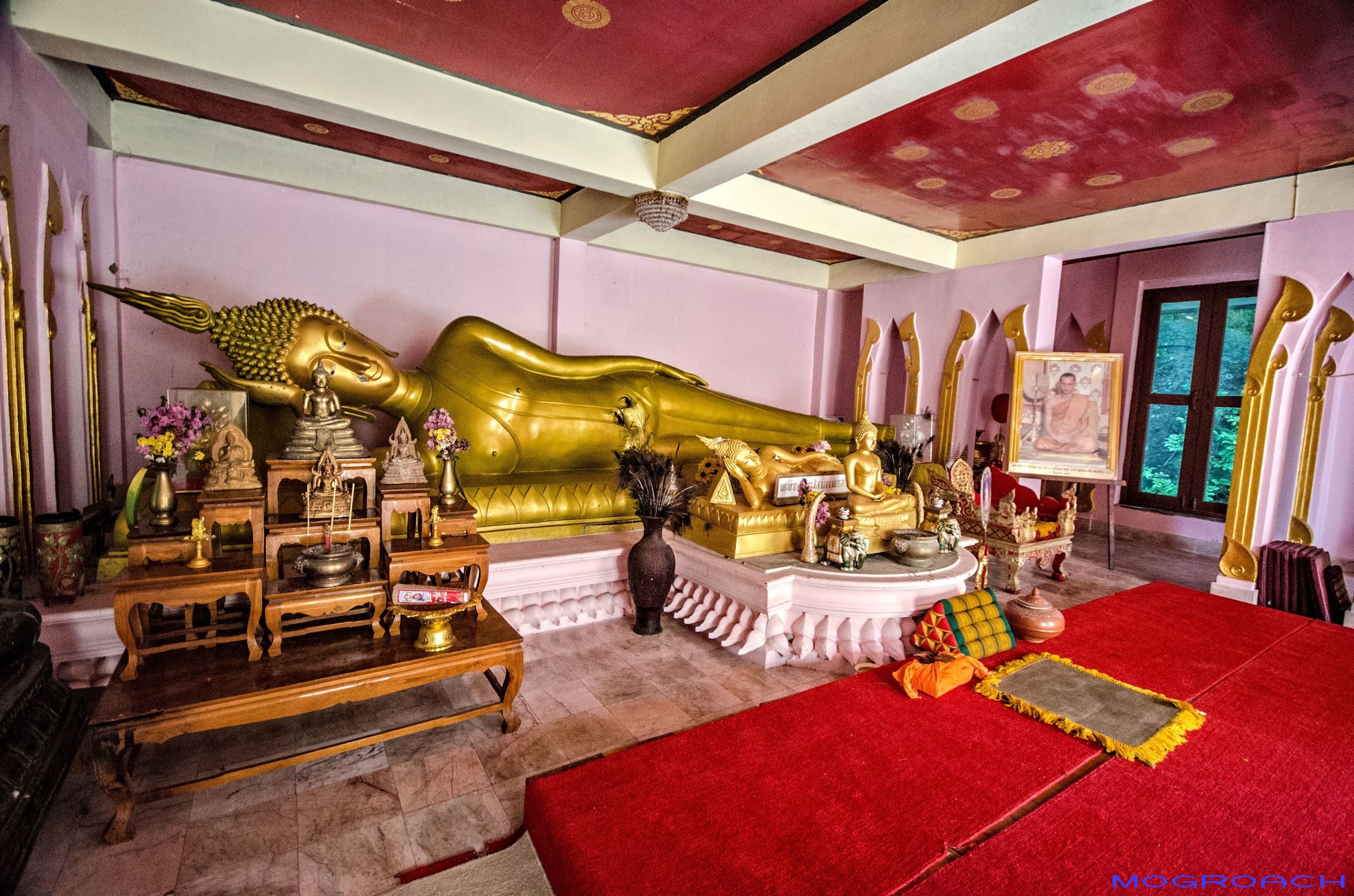Wat Khao Tam Koh Phangan Thailand Mogroach