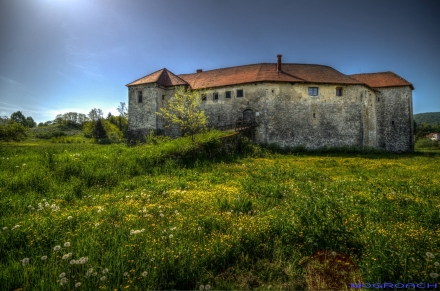 Ribnik Castle