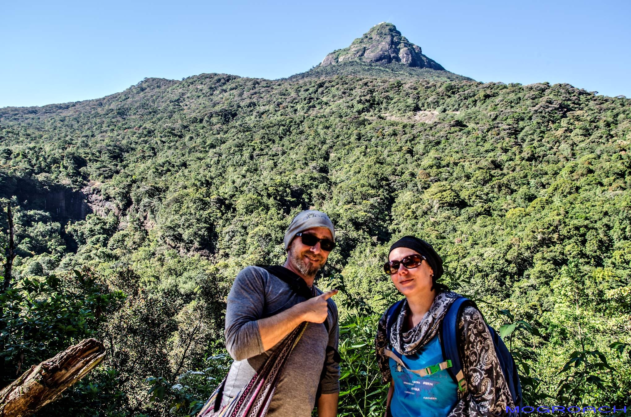 Sri Lanka Adam´s Peak Mogroach