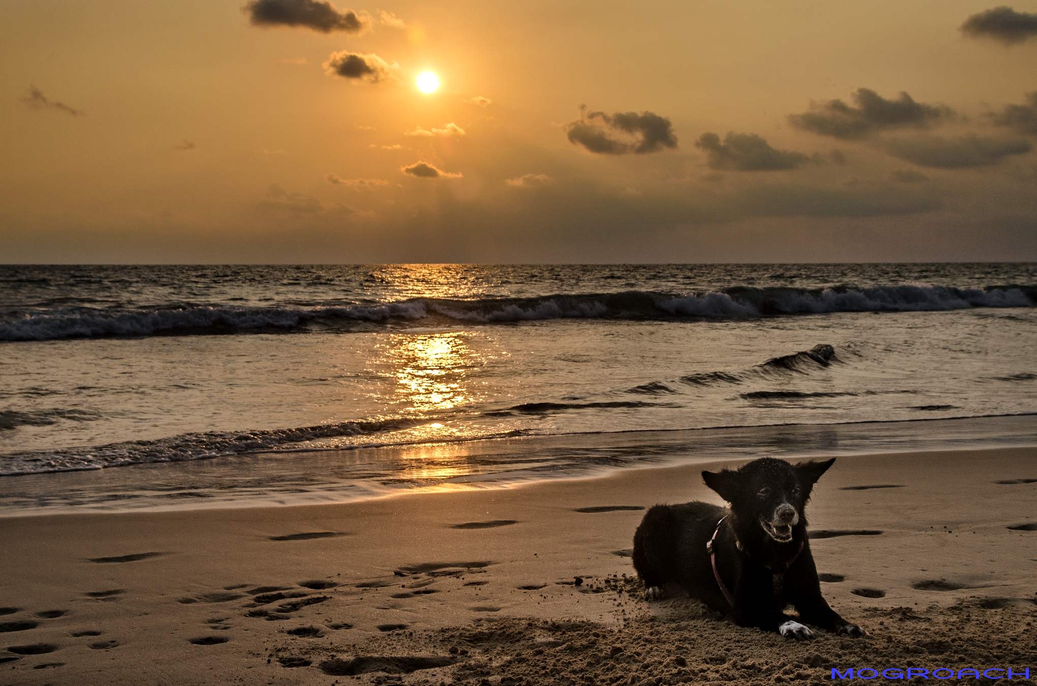 Sri Lanka Induruwa Beach Mogroach