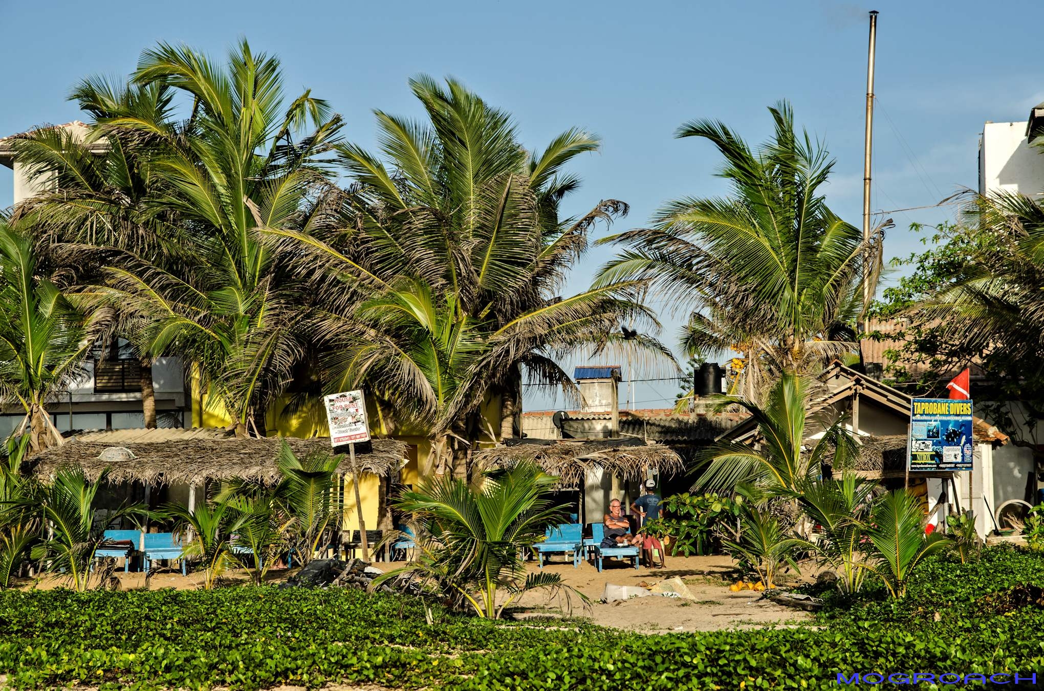 Bildergalerie von Negombo - Sri Lanka