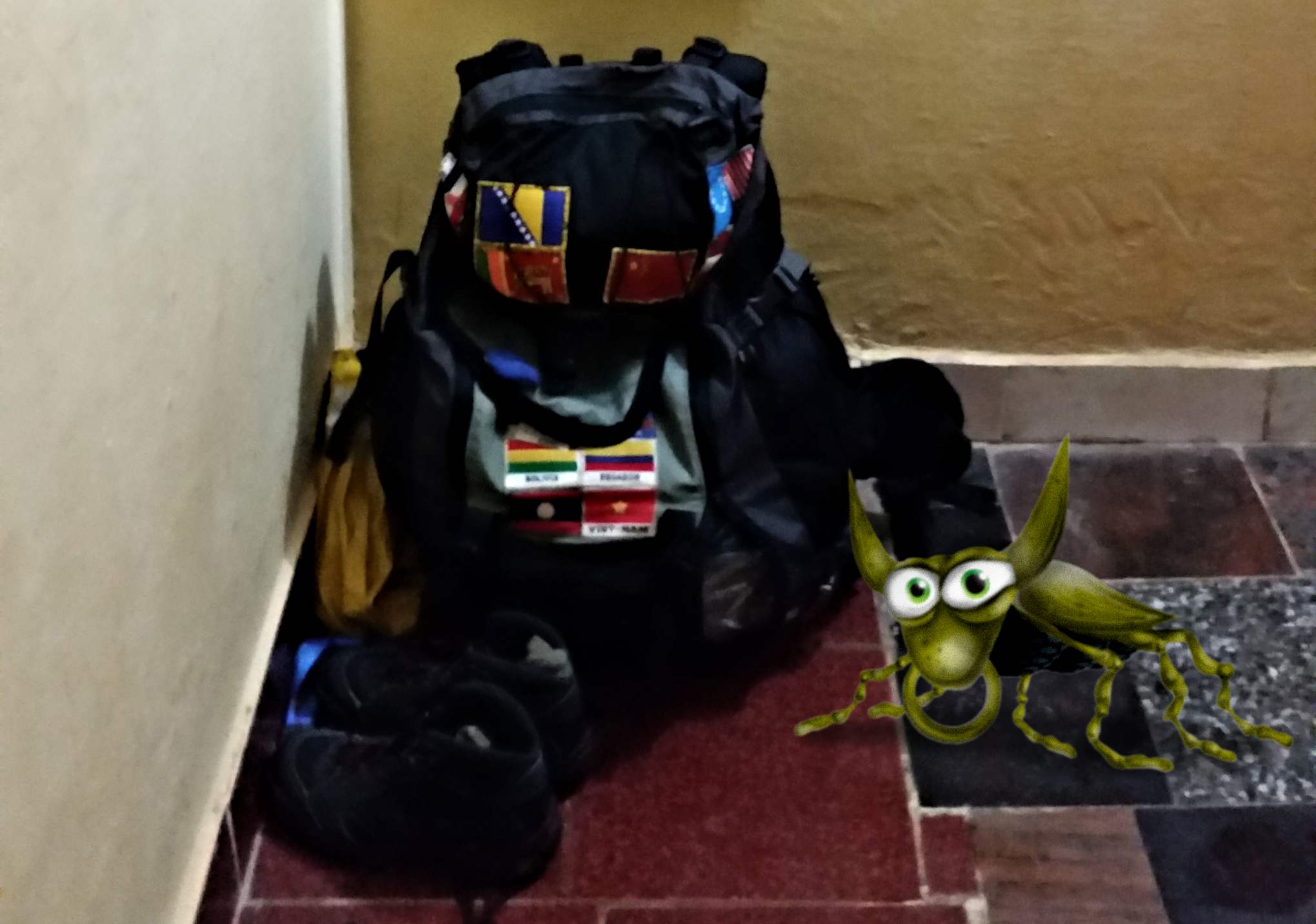 Mogroach Backpacking hasse Gründem  