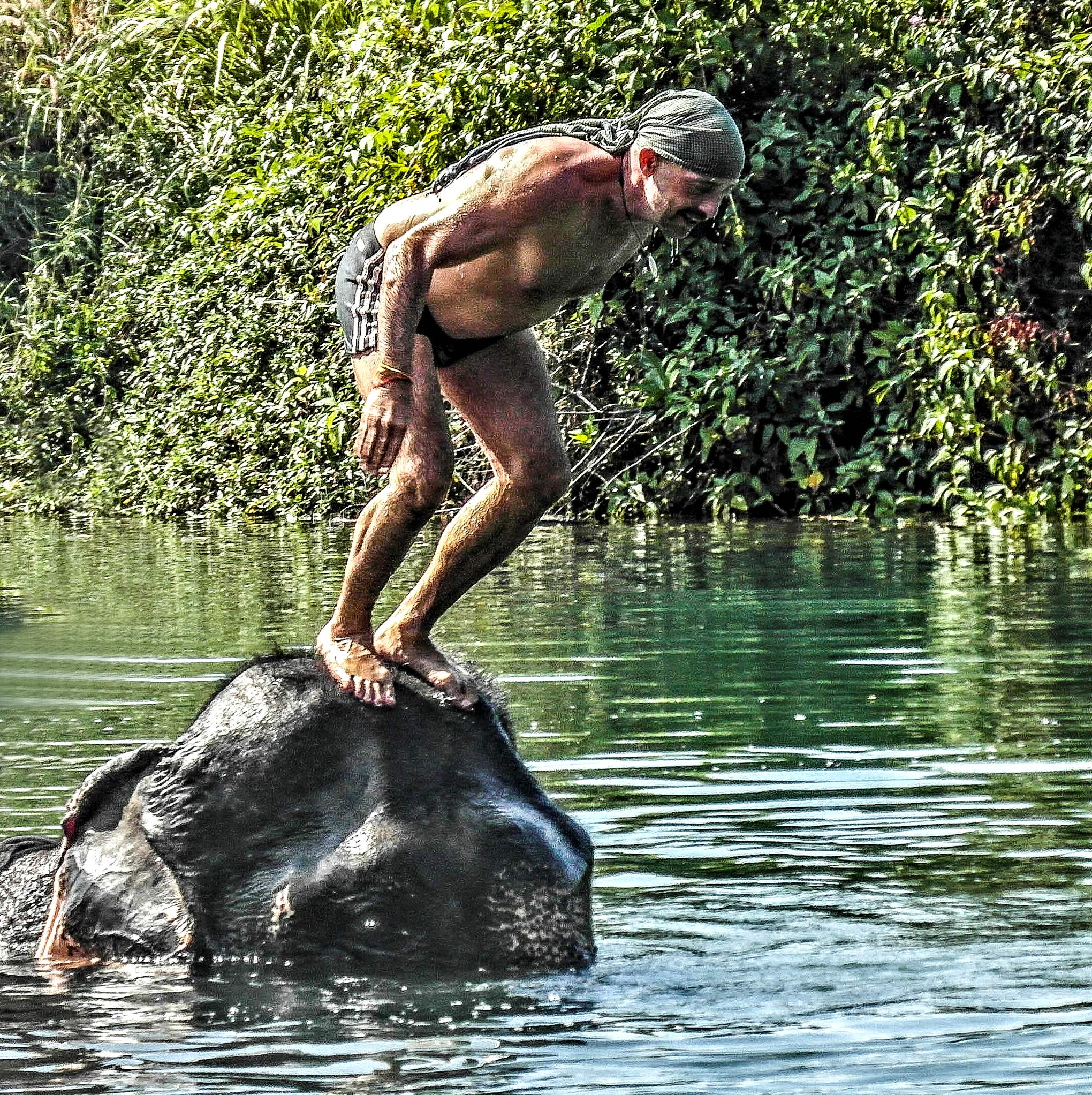 Koh Chang Elephant Trekking Mogroach