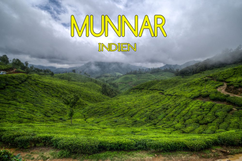 Munnar Kerala Indien Mogroach