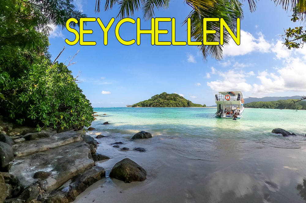 Seychellen Mogroach