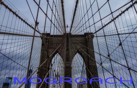 New York Brooklyn Bridge Mogroach