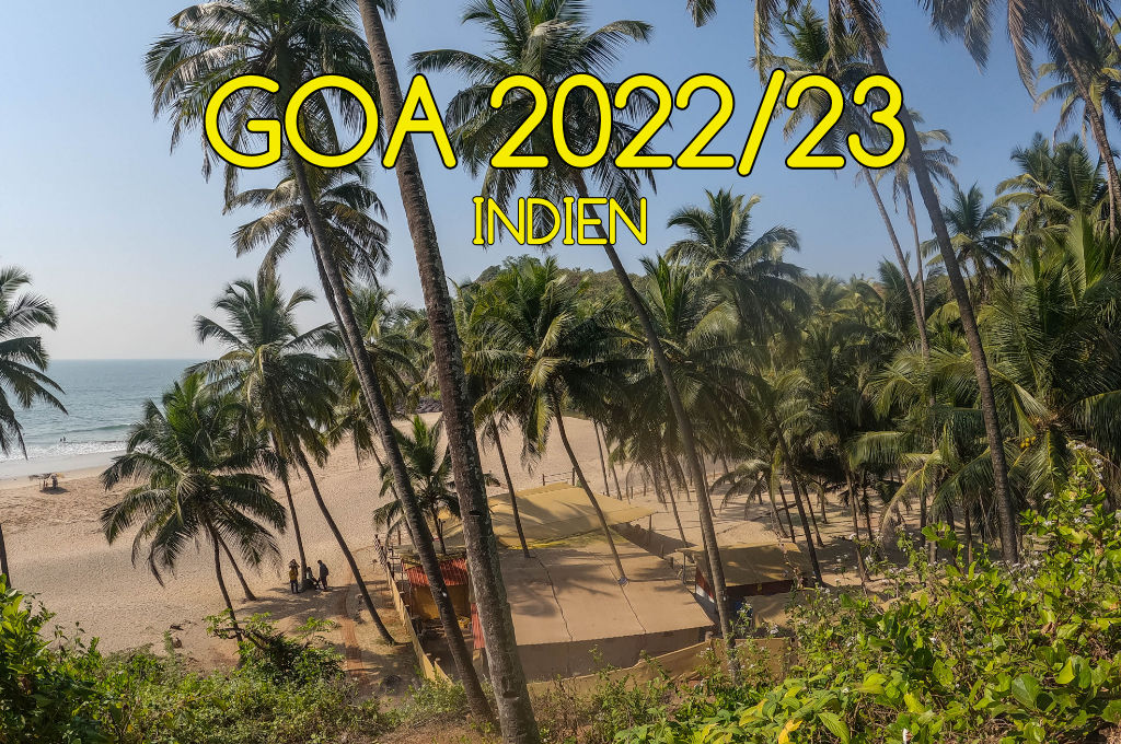 Mogroach backpacking Goa Indien