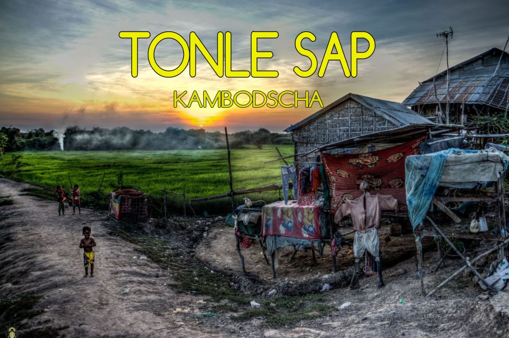 Tonle Sap Mogroach