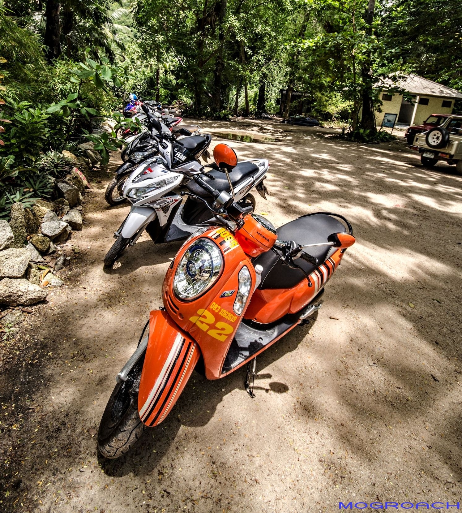 Koh Phangan Motorbike Thailand Mogroach