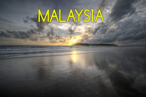 Malaysia Pictures Mogroach