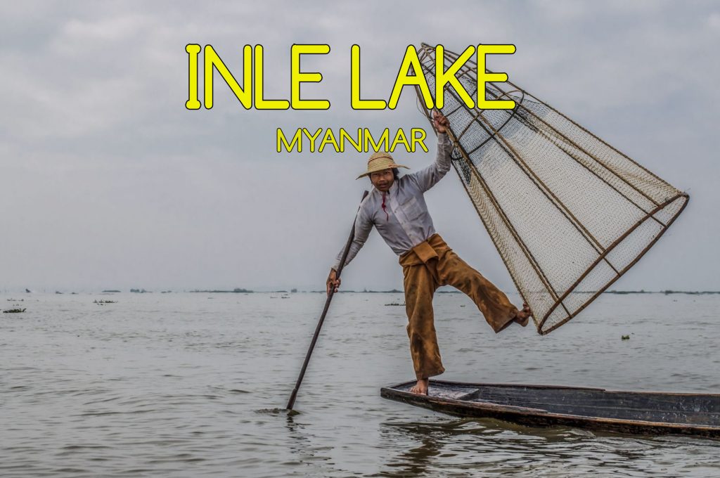 Inle Lake Mogroach