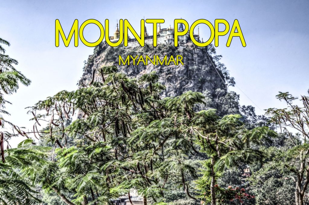 Mount Popa Mogroach