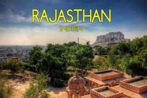 Rajasthan Mogroach Bildergalerie