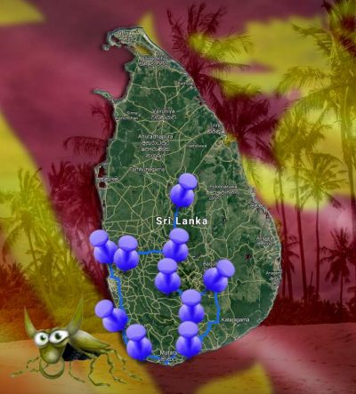 Sri Lanka Reiseroute Mogroach