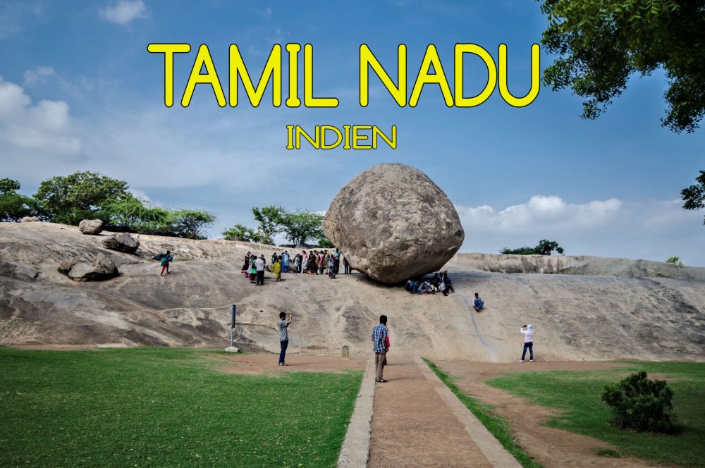 Tamil Nadu Mogroach