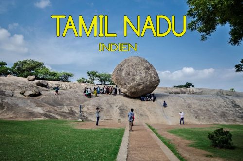 Tamil Nadu Mogroach Indien