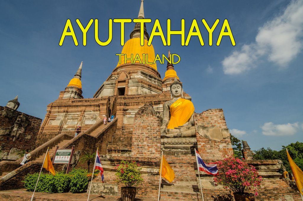 Ayutthaya Mogroach