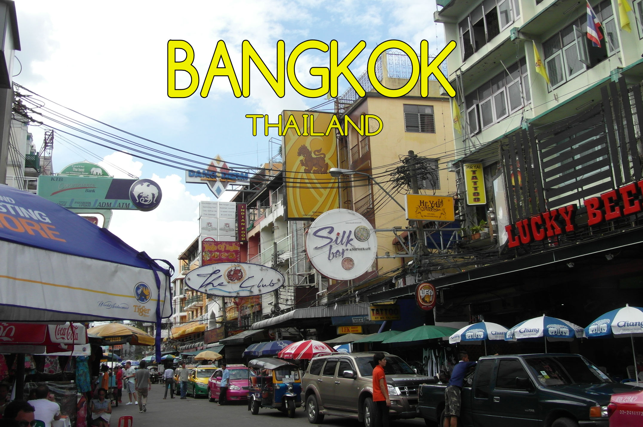 Bangkok Mogroach