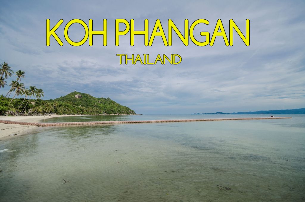 Thailand Mogroach